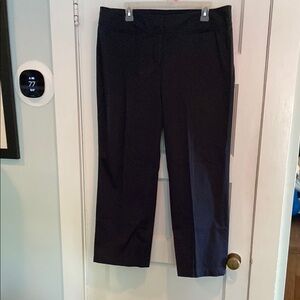 Ann Taylor Loft Marisa Classic Navy Cotton Pants